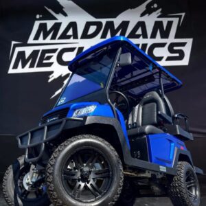 2025 blue Bintelli Lithium-Ion golf cart for sale